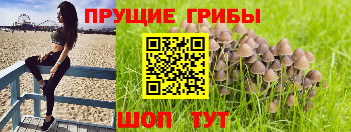 Галлюциногенные грибы мицелий Воркута