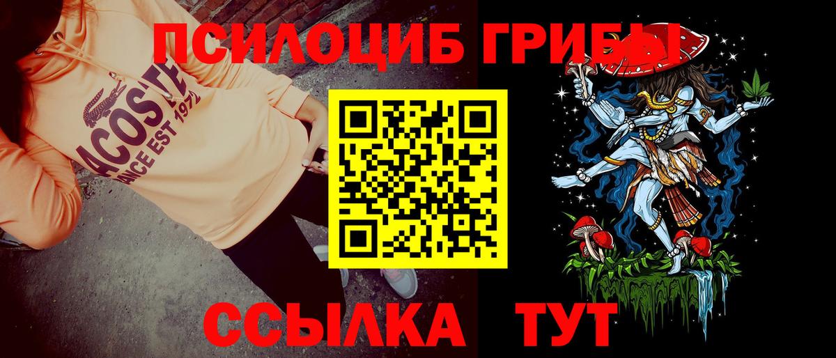 Воркута  цена наркотик  Вход с VPN  Псилоцибиновые грибы Psilocybine cubensis 